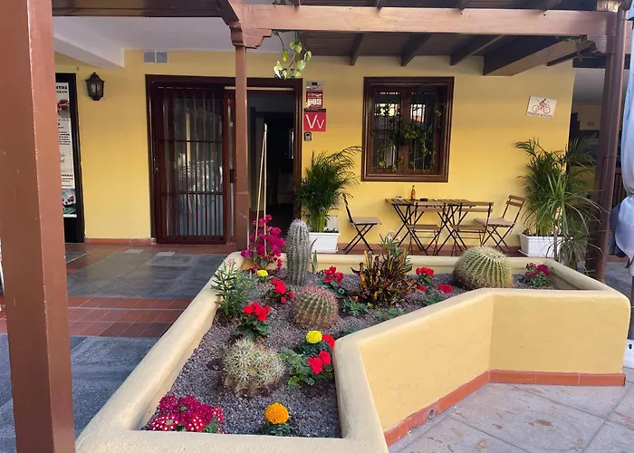 Hidden Treasure Playa de las Americas (Tenerife)