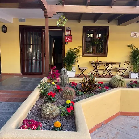 Hidden Treasure Playa de las Americas (Tenerife)